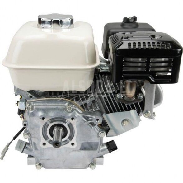 Variklis 5,5hp 20mm 2 Variklis 5,5hp 20mm 2