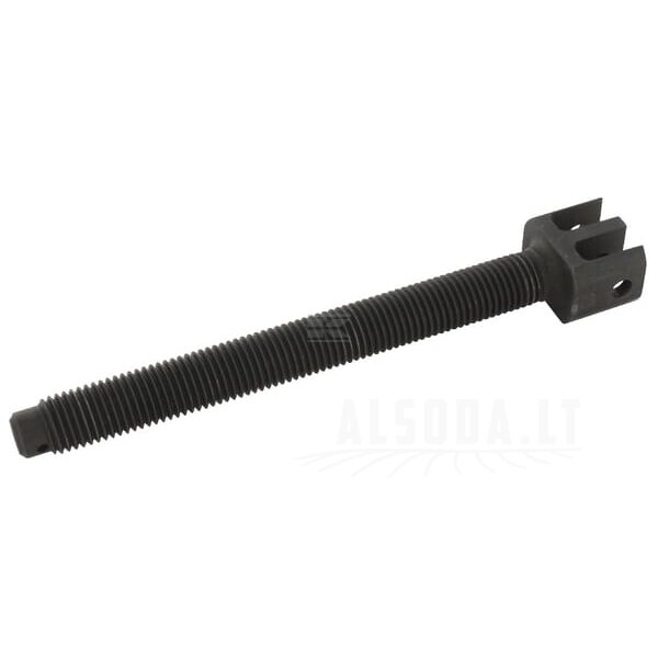 Inkaro lapo grandinėlė Inkaro lapo grandinėlė