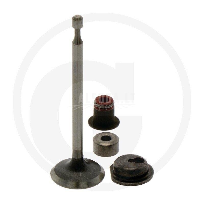 Įsiurbimo vožtuvas Briggs & Stratton 590530 Įsiurbimo vožtuvas Briggs & Stratton 590530