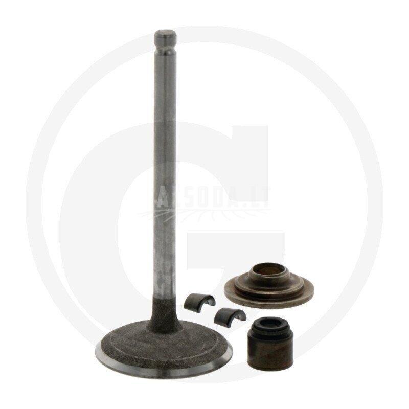 Įsiurbimo vožtuvas Briggs & Stratton 791935 Įsiurbimo vožtuvas Briggs & Stratton 791935