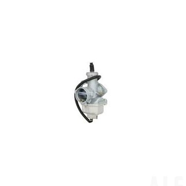 Karbiuratorius IP000349