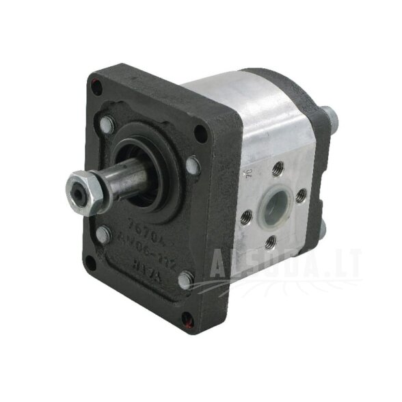 Krumpliaratinis siurblys AZPF-11-005RHO30MB Bosch Rexroth