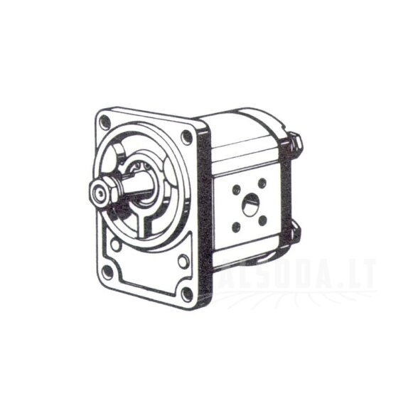 Krumpliaratinis siurblys AZPF-11-019LCB20MB Bosch Rexroth 1 Krumpliaratinis siurblys AZPF-11-019LCB20MB Bosch Rexroth 1