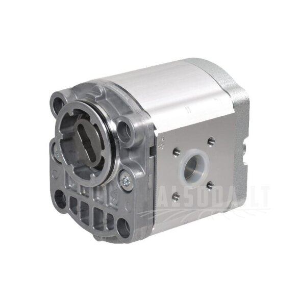 Krumpliaratinis siurblys AZPF-12-019LNT20MB Bosch Rexroth