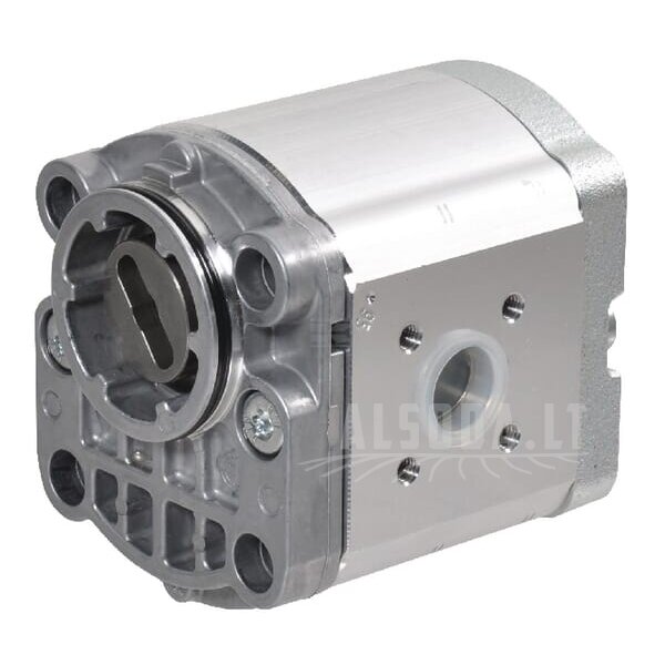 Krumpliaratinis siurblys AZPF-12-016LNT20MB Bosch Rexroth Krumpliaratinis siurblys AZPF-12-016LNT20MB Bosch Rexroth