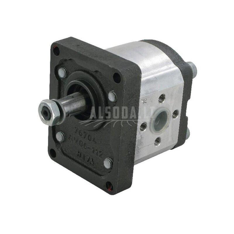 Krumpliaratinis siurblys AZPF-10-011RHO30MB Bosch Rexroth Krumpliaratinis siurblys AZPF-10-011RHO30MB Bosch Rexroth
