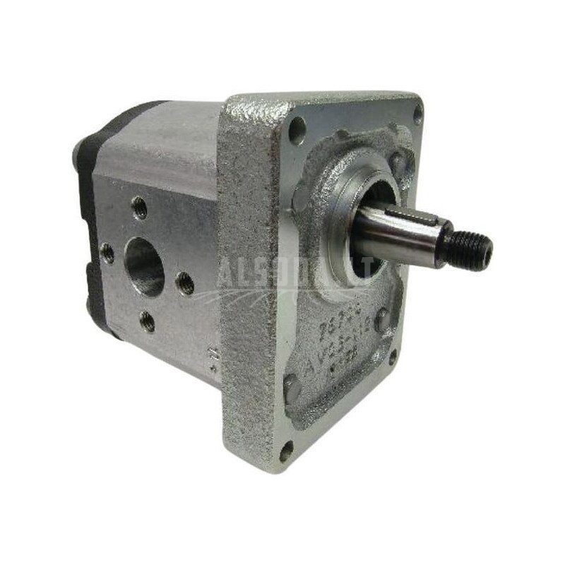 Krumpliaratinis siurblys AZPF-11-008LHO30MB Bosch Rexroth Krumpliaratinis siurblys AZPF-11-008LHO30MB Bosch Rexroth
