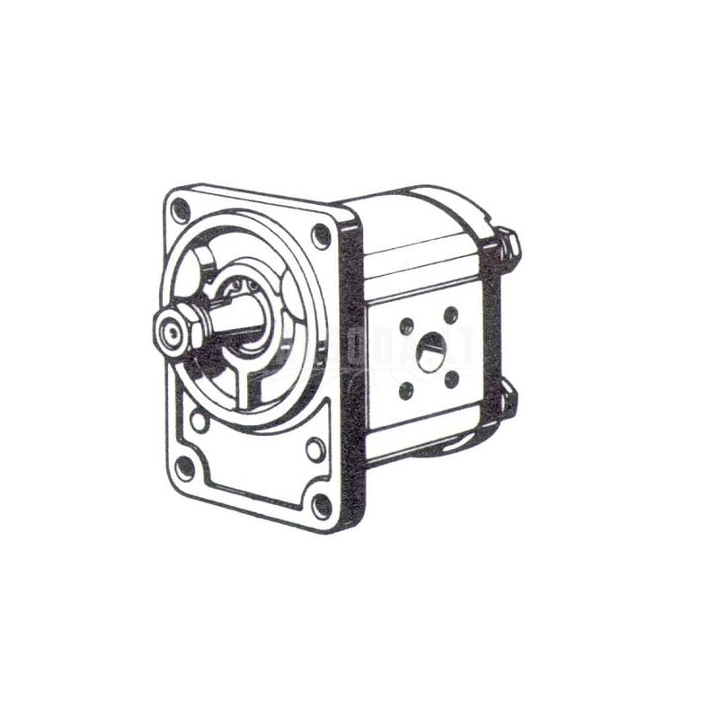 Krumpliaratinis siurblys AZPF-11-019LCB20MB Bosch Rexroth 1 Krumpliaratinis siurblys AZPF-11-019LCB20MB Bosch Rexroth 1