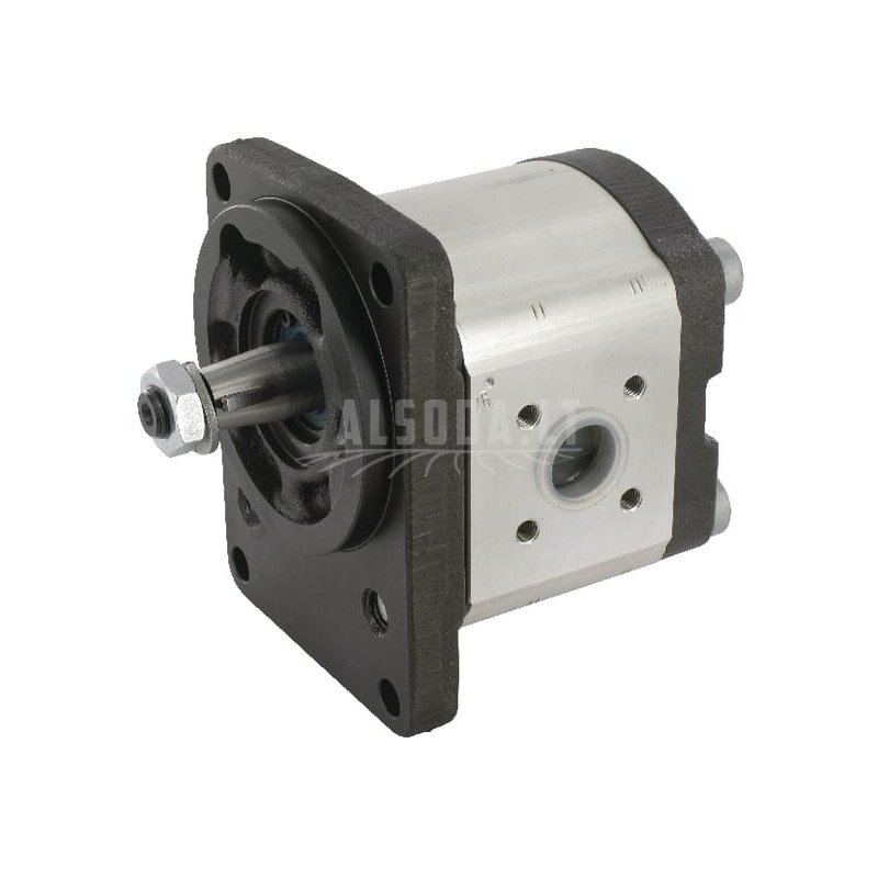Krumpliaratinis siurblys AZPF-11-019LCB20MB Bosch Rexroth Krumpliaratinis siurblys AZPF-11-019LCB20MB Bosch Rexroth