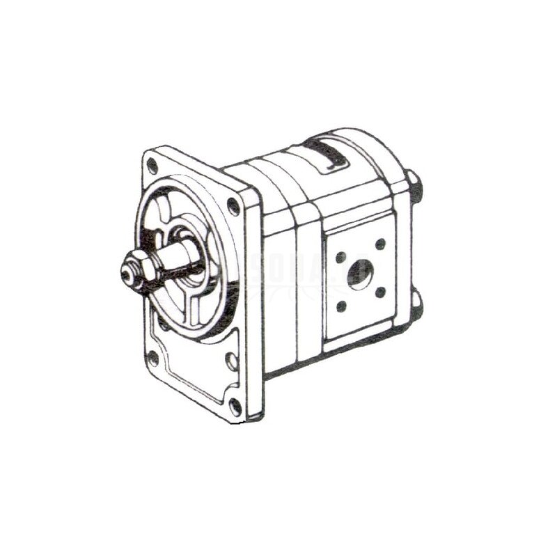 Krumpliaratinis siurblys AZPF-12-016LSA20MB Bosch Rexroth 3 Krumpliaratinis siurblys AZPF-12-016LSA20MB Bosch Rexroth 3
