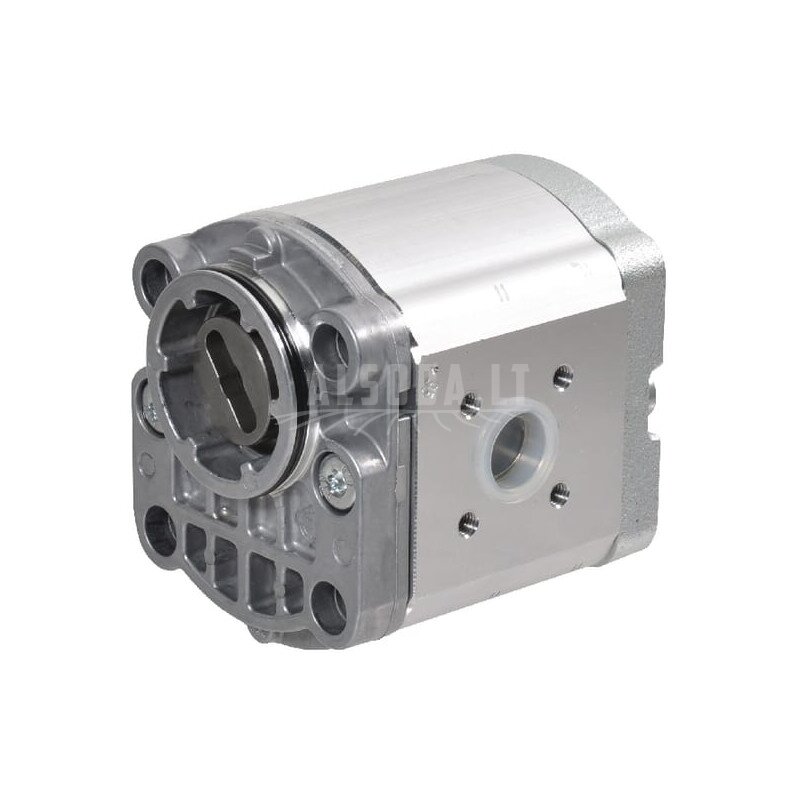 Krumpliaratinis siurblys AZPF-12-022LNT20MB Bosch Rexroth Krumpliaratinis siurblys AZPF-12-022LNT20MB Bosch Rexroth