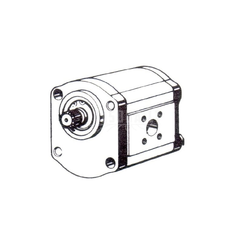Krumpliaratinis siurblys AZPF-21-022LFP20PB-S0040 Bosch Rexroth 1 Krumpliaratinis siurblys AZPF-21-022LFP20PB-S0040 Bosch Rexroth 1