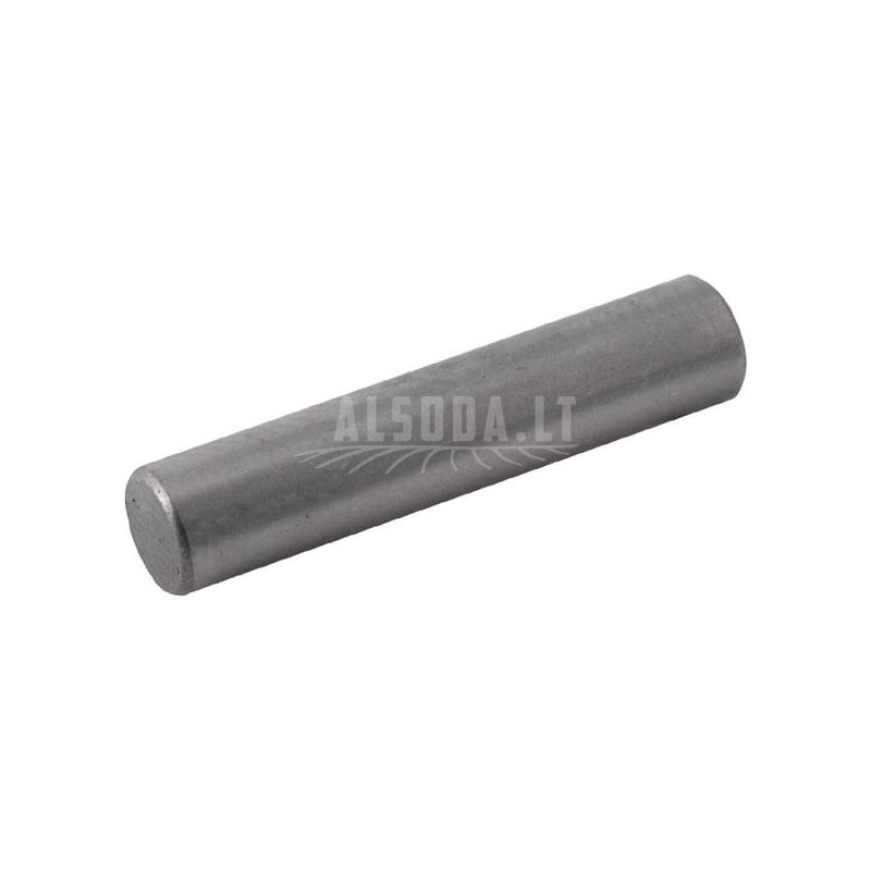 New Holland TG255 Bearing, Needle