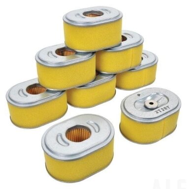 Oro filtrai x  (8)
