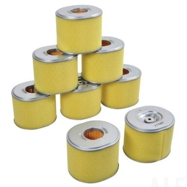 Oro filtrai x  (8)