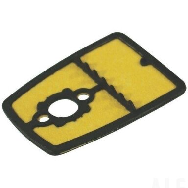Oro filtras