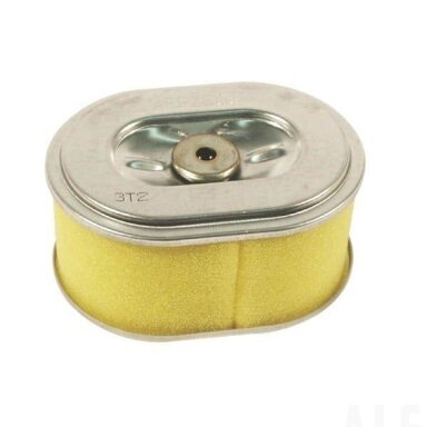 Oro filtras