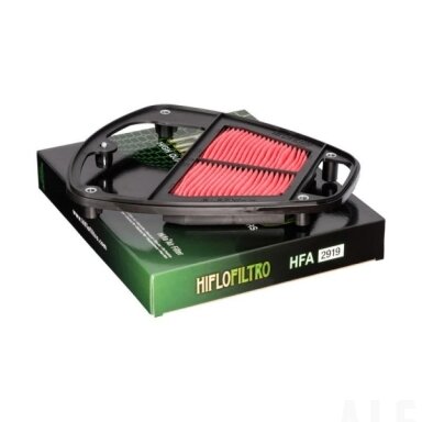 Oro filtras Kawasaki VN900 HFA2919