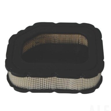 Oro filtras Kohler 3208303S