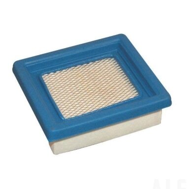 Oro filtras Tecumseh 36046