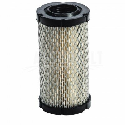 Oro filtras B&S 33 serija 20-21 HV, Oregon