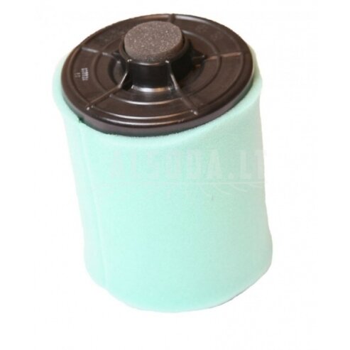 Oro filtras Can Am G2 AF4101 707800371