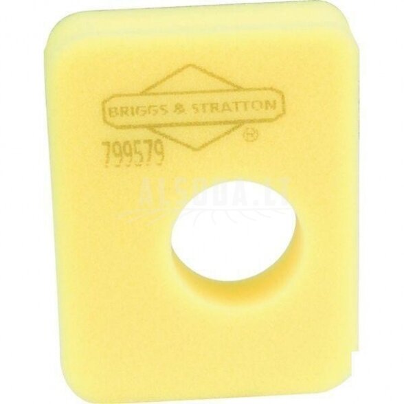 Oro filtras (25x 799579)