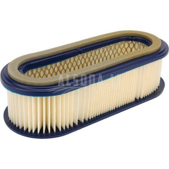 Oro filtras
