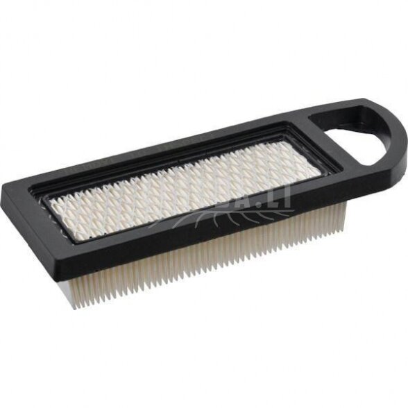 Oro filtras (4214)