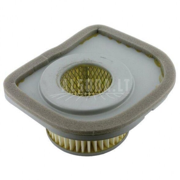 Oro filtras 1