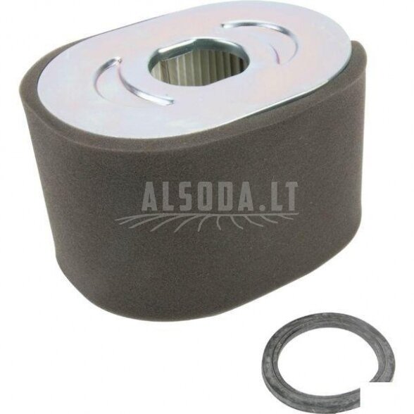Oro filtras Briggs and Stratton 799818