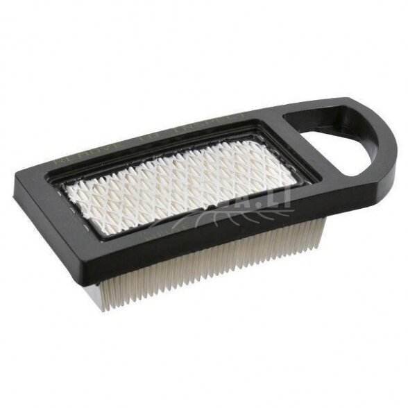 Oro filtras Briggs&Stratton (4213) 794421 1 Oro filtras Briggs&Stratton (4213) 794421 1