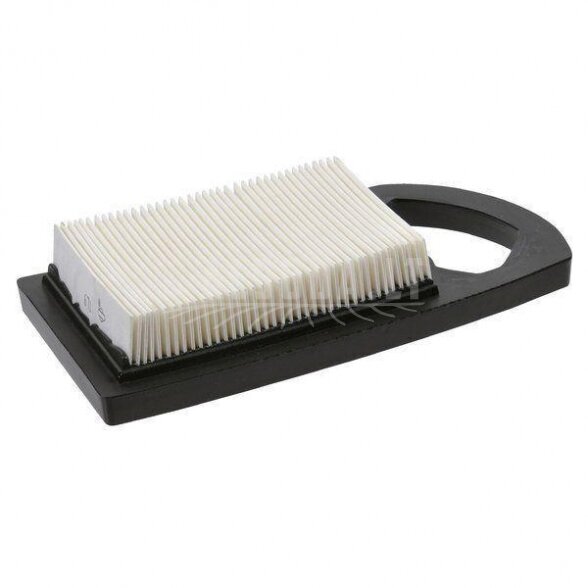 Oro filtras Briggs&Stratton (4213) 794421 2