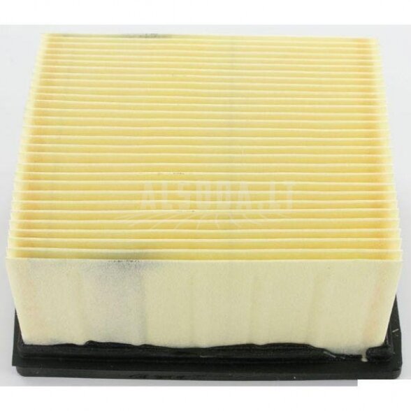 Oro filtras Etesia 4661 1 Oro filtras Etesia 4661 1