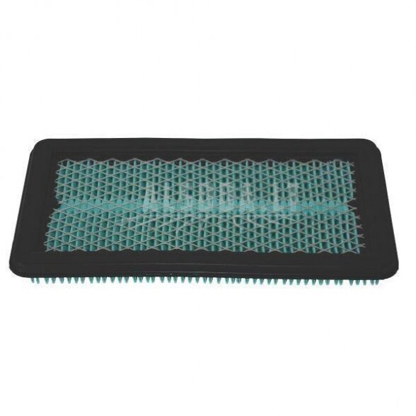 Oro filtras Honda 17211Z0A013 Oro filtras Honda 17211Z0A013