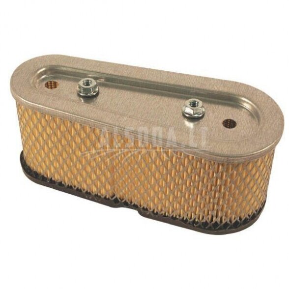 Oro filtras ohv-110/175 Tecumseh 36356 Oro filtras ohv-110/175 Tecumseh 36356