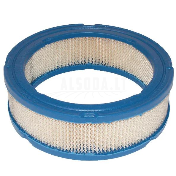 Oro filtras Briggs&Stratton 394018S