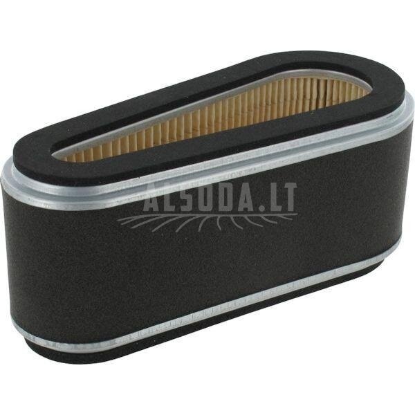 Oro filtras