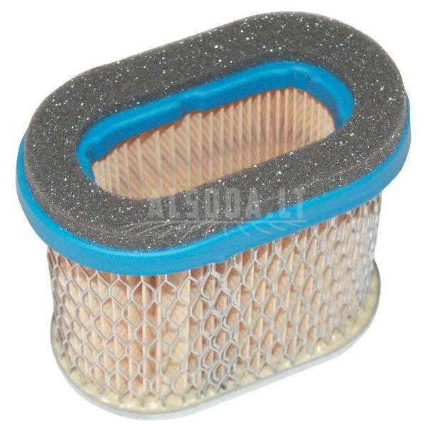 Oro filtras  (4224)