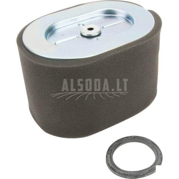 Oro filtras Briggs and Stratton 799818 1 Oro filtras Briggs and Stratton 799818 1