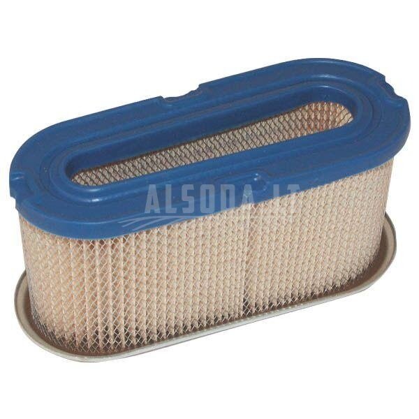 Oro filtras Briggs&Stratton 491021
