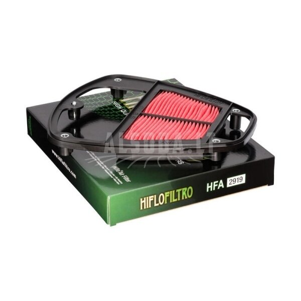 Oro filtras Kawasaki VN900 HFA2919 Oro filtras Kawasaki VN900 HFA2919