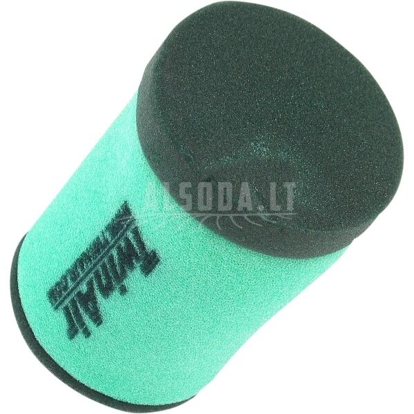 Oro filtras TWIN AIR 156061P