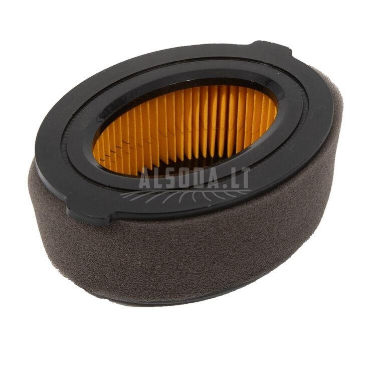Oro filtras Thorx55 MTD 751-10794, 751-14262