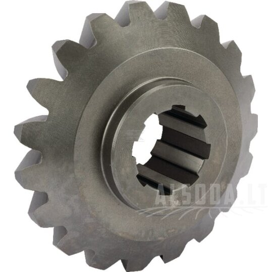 Pavara Z19 M6,3 1 Pavara Z19 M6,3 1