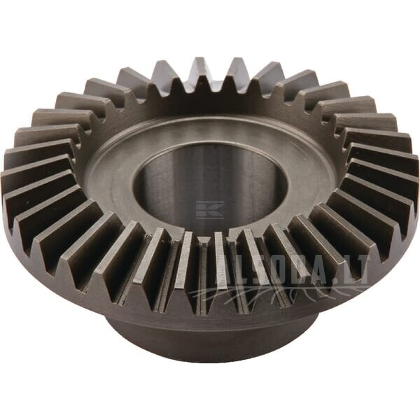 Pavara Z32 M3