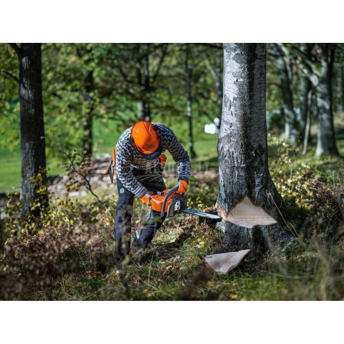 Pjūklas benzininis HUSQVARNA 450S 13