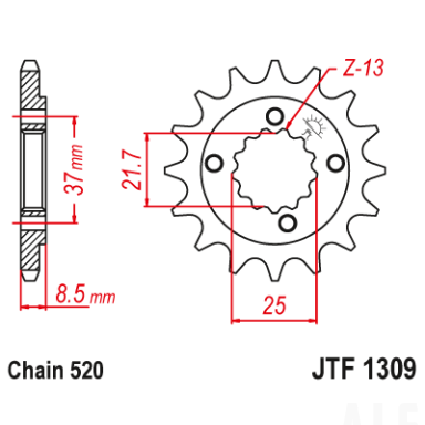 Priekinė žvaigždė JTF1309.13