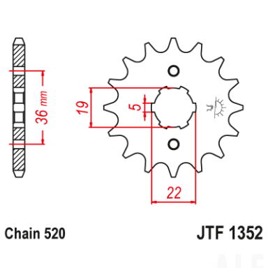 Priekinė žvaigždė JTF1352-13