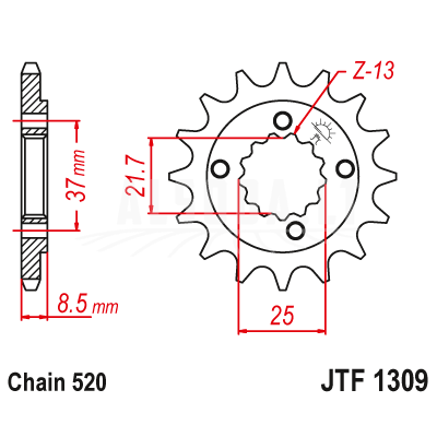 Priekinė žvaigždė JTF1309.13